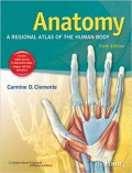 Anatomy: a regional atlas of the human body