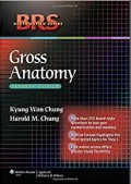 Gross anatomy