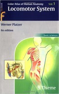 Color atlas of human anatomy: locomotor system
