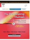 Developing human : clinically oriented embryology