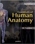 Essentials of human anatomy