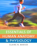 Essentials of human anatomy & physiology