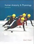 Human anatomy & physiology