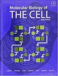 Molecular biology of the cell