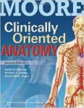 Moore clinically oriented anatomy