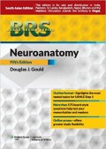 Neuroanatomy