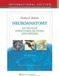 Neuroanatomy in clinical context: an atlas of structures, sections, systems and syndromes