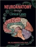 Neuroanatomy through clinical cases