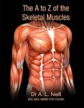 The A to Z of the skeletal muscles