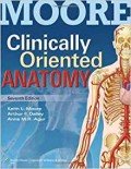 Moore clinically oriented anatomy